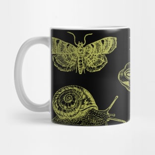 Vintage Biology Goblincore Nature Aesthetic Collection of Frogs, Snails, Moths, Mushrooms Mug